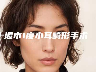 十堰市1度小耳畸形手术价格表查询_医生推荐-十堰市1度小耳畸形手术价格行情